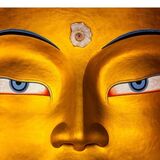 O que é o Budismo? Origem, características, vertentes, Nirvana e mais!