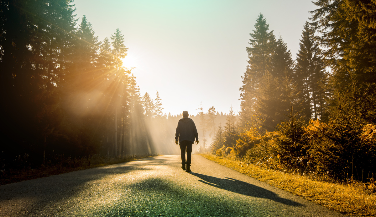 Homem caminhando por caminho iluminado pelo Sol entre árvores.