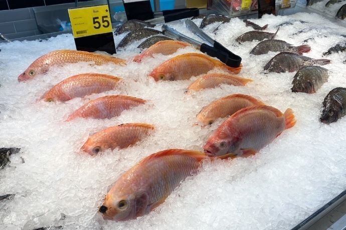 Peixes no gelo em freezer de mercado