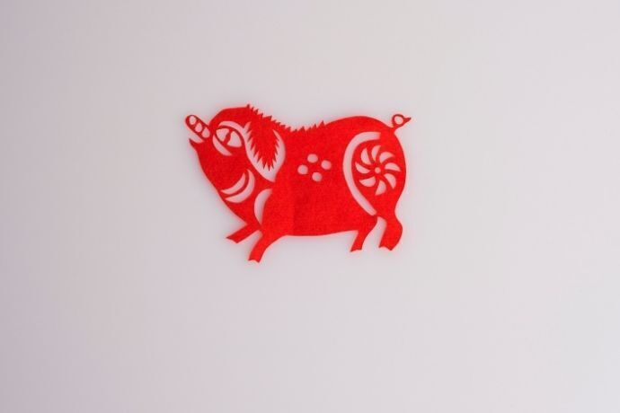 Desenho de porco vermelho