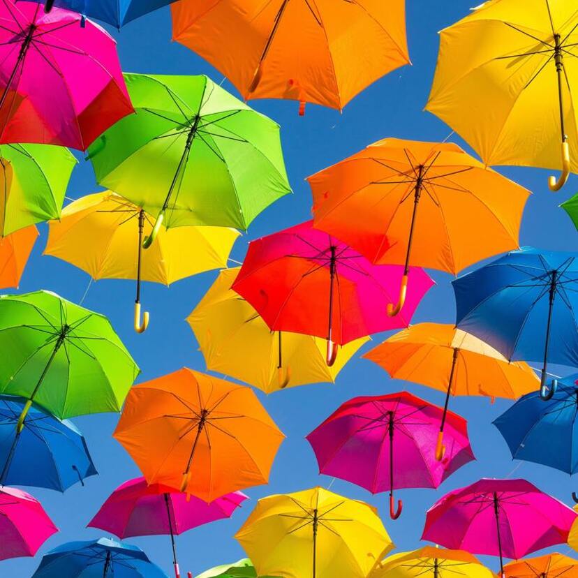 Sonhar com guarda-chuva: aberto, fechado, quebrado, molhado e mais!