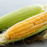 O que significa sonhar com milho? Espiga, plantação, colheita e mais! 