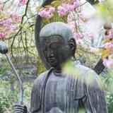 O que é o caminho do meio no budismo? Entenda mais sobre essa verdade!