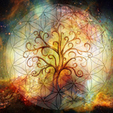 Árvore da Vida: Descubra a origem, histórias e mais deste símbolo!