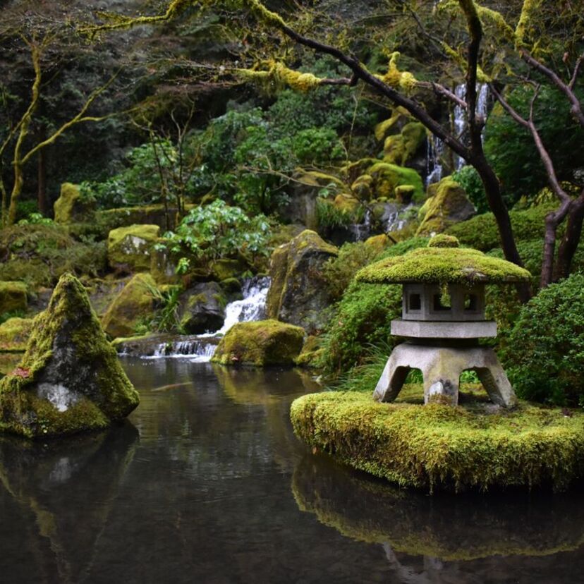O que é Jardim Zen? Composição, pedras, jardim miniatura e mais!
