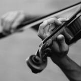 O que significa sonhar com violino: ouvindo, tocando e mais!