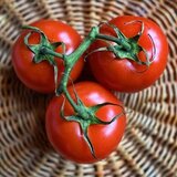 O que significa sonhar com tomate: maduro, verde, podre e mais!