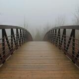 O que significa sonhar com ponte de madeira? Velha, caindo e mais! 