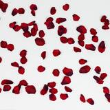Banho de rosas vermelhas com açúcar e canela: descubra como fazer o seu!
