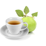 Chá de Folha de Goiaba: para que serve? Benefícios, receita e mais! 