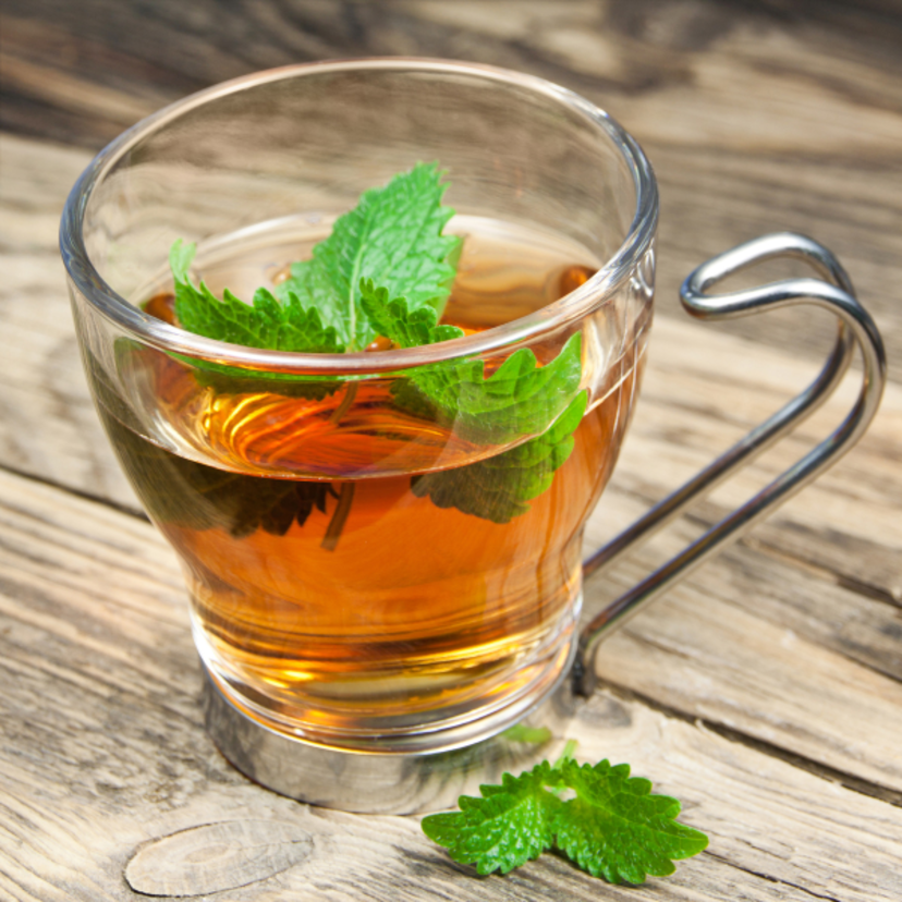 Para que serve o chá de Erva-Cidreira? Benefícios, receitas e mais!