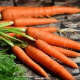Conheça os benefícios da cenoura: para o corpo, espírito e mais!