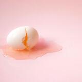 Sonhar com casca de ovo: branca, quebrada, comendo, no chão e mais!