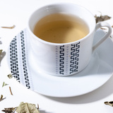 O chá de espinheira santa: Para que serve, benefícios, preparo e mais! 
