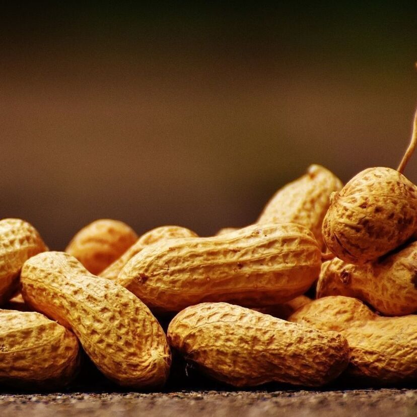 Os benefícios do amendoim: Para o homem, na prevenção de doenças e mais!