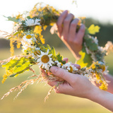 Sonhar com coroa: significado, de flores, espinhos, ouro e mais!