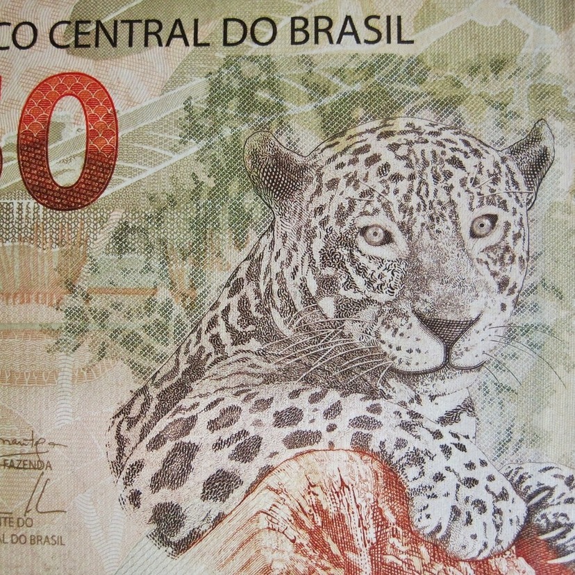 O que significa sonhar com nota de 50 reais? Dinheiro falso, 100 reais e mais!