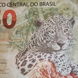 O que significa sonhar com nota de 50 reais? Dinheiro falso, 100 reais e mais!