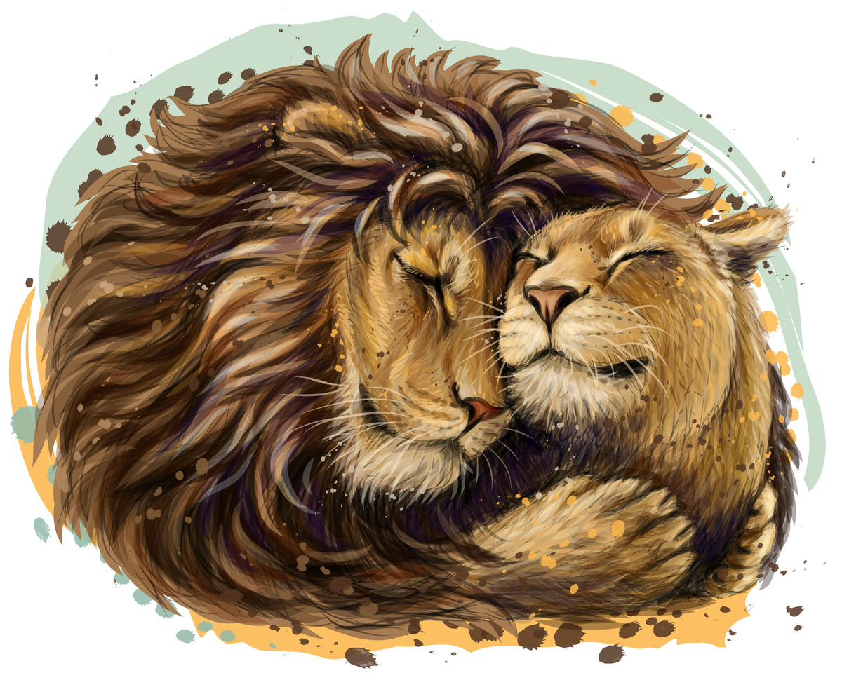 Desenho de um leão e uma leoa.