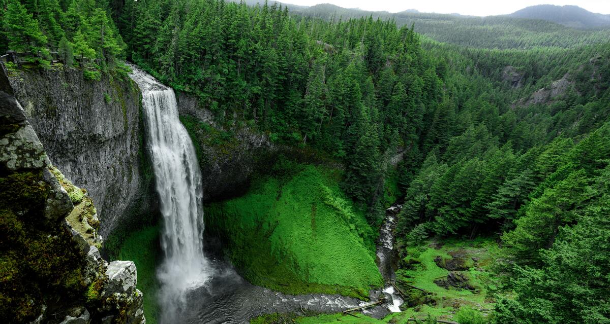 Cachoeira cercada de uma floresta.