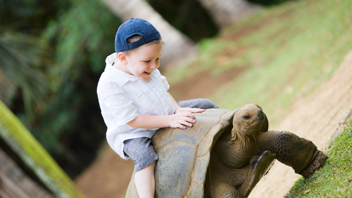 Uma criança e uma tartaruga gigante. 