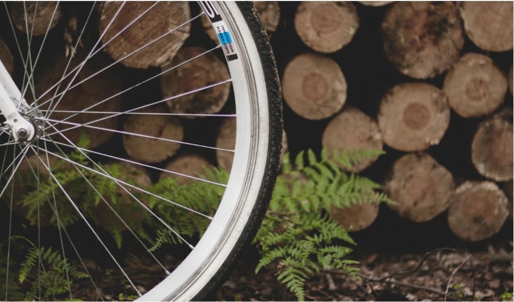Imagem de madeiras com roda de bicicleta na frente