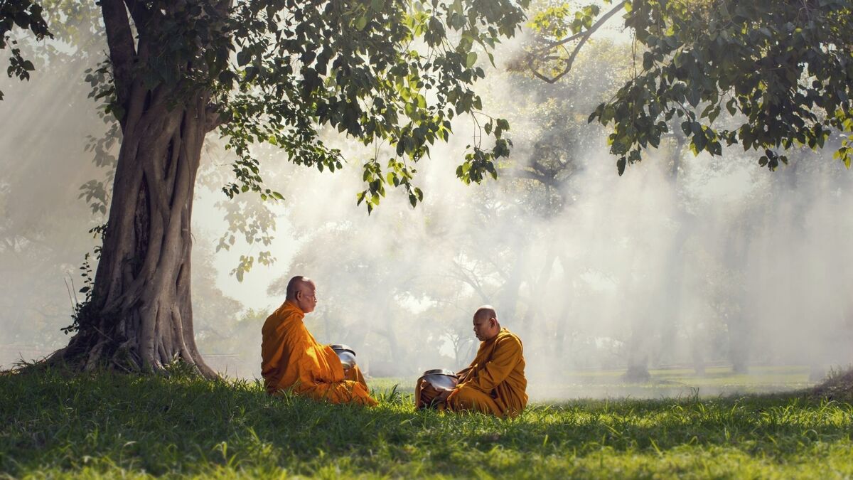 Monges meditando em uma árvore.