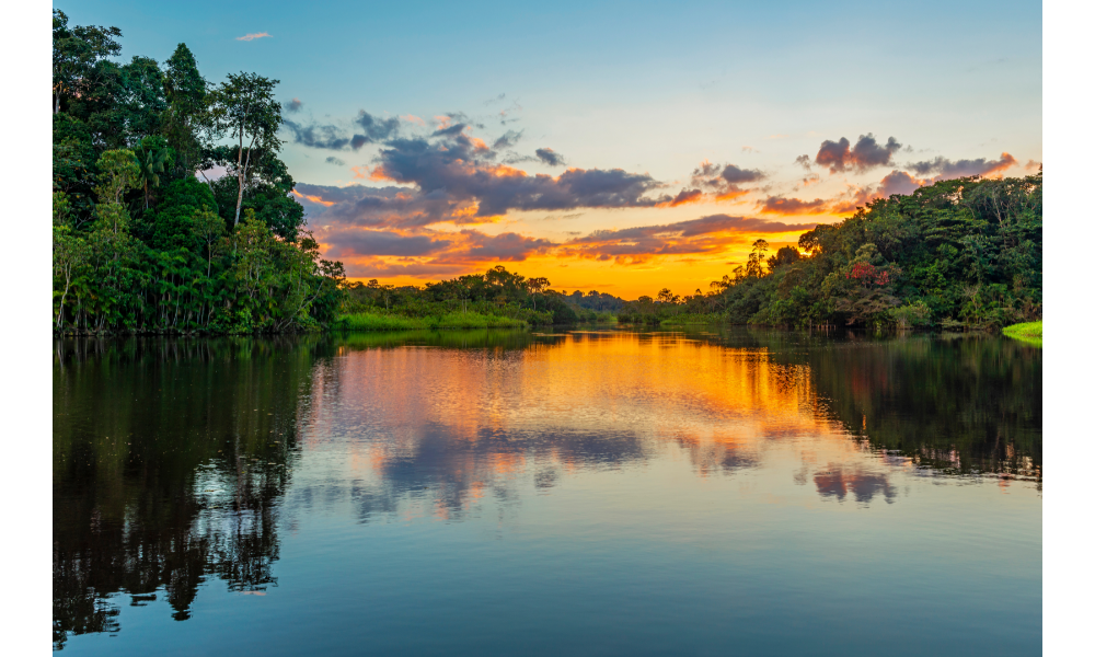 Paisagem floresta amazônica com o rio.