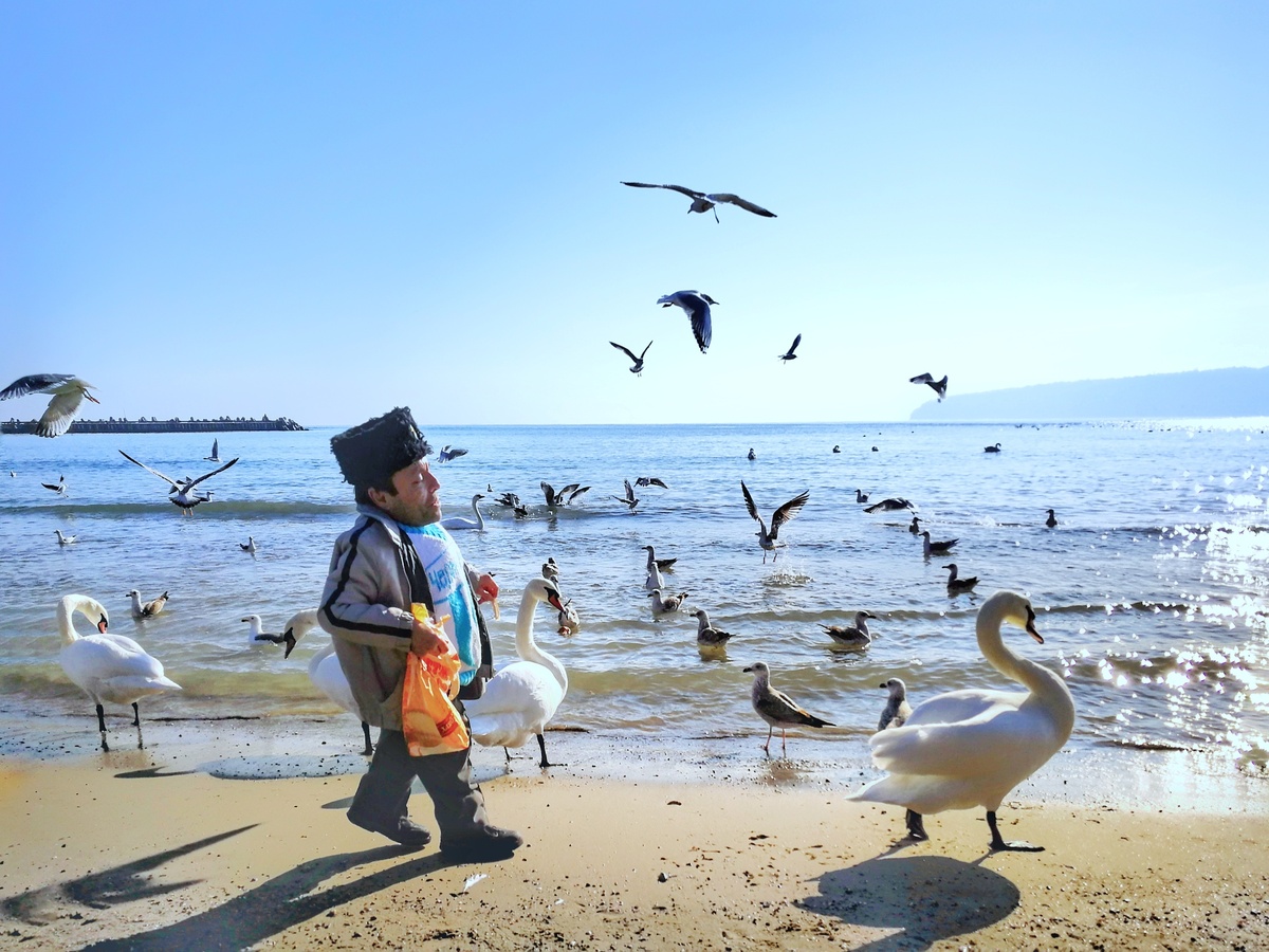 Anão caminhando na praia com várias gaivotas.