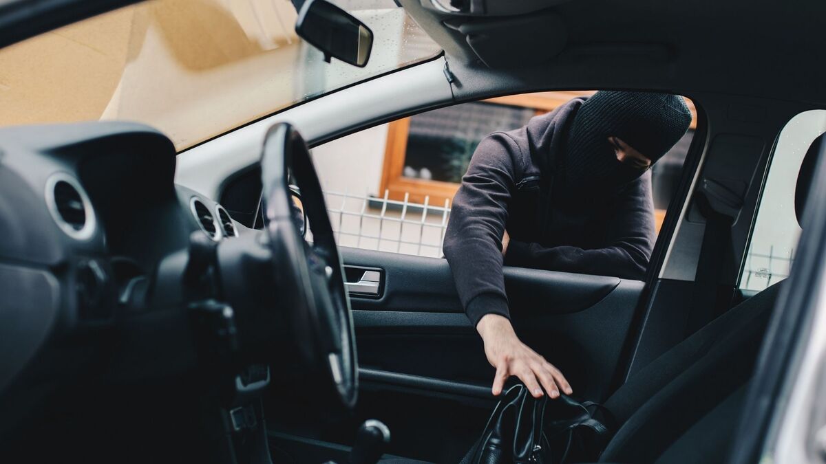 Ladrão roubando bolsa em um carro.