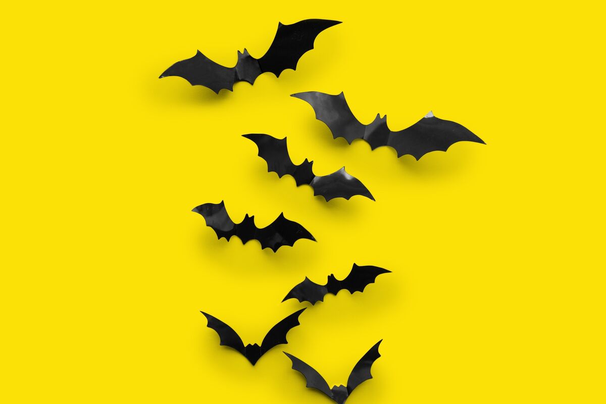 papéis em formato de morcegos.
