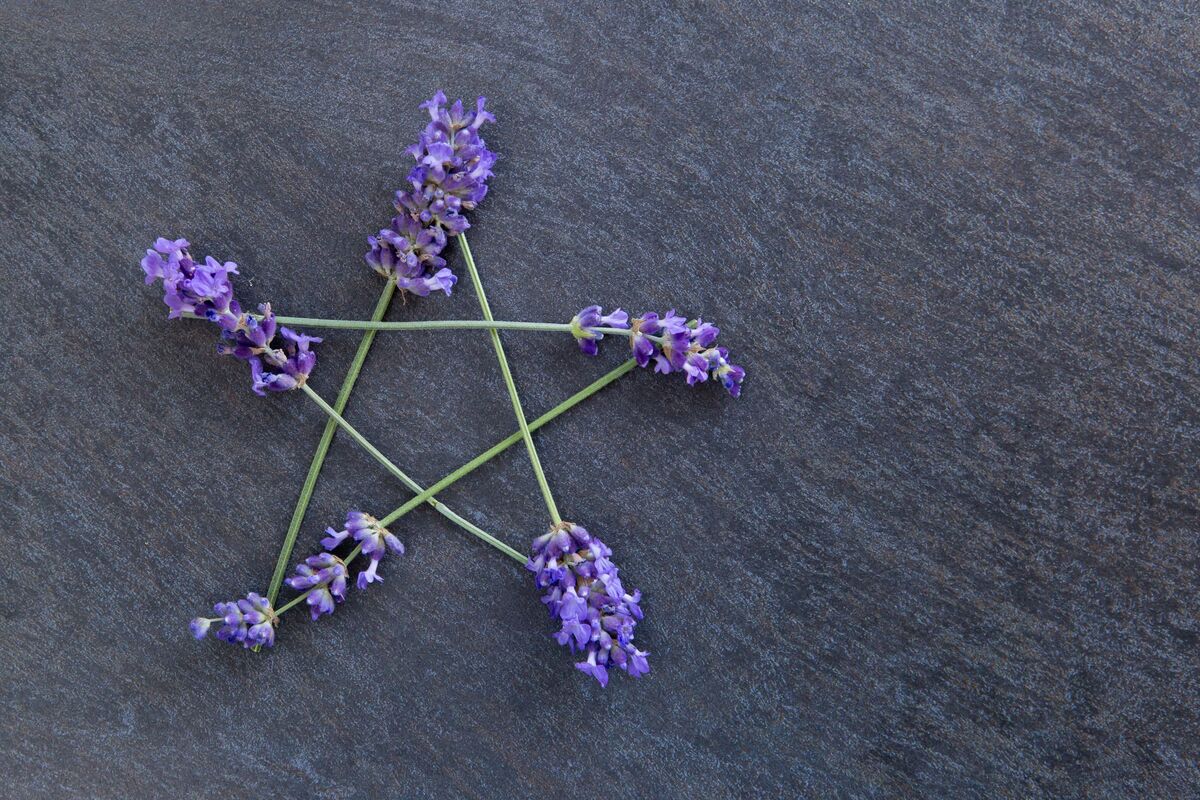 Pentagrama feito de plantas.