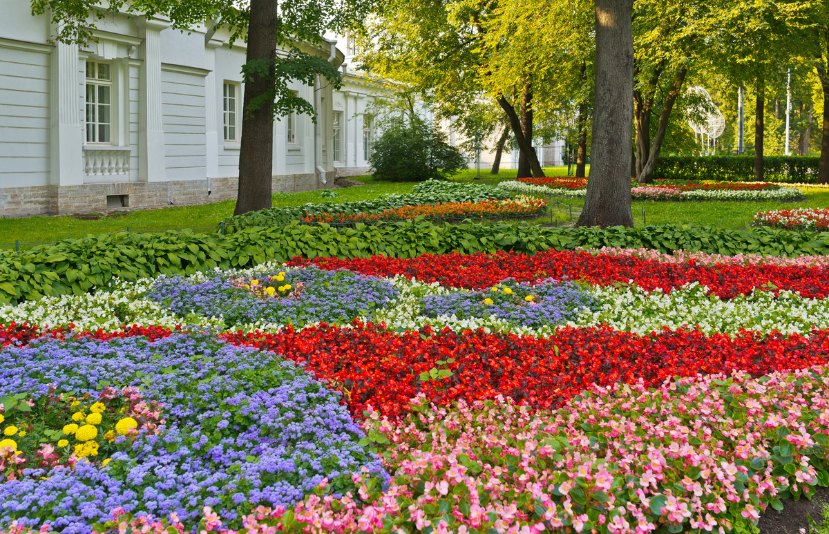 Jardim com diferentes flores coloridas