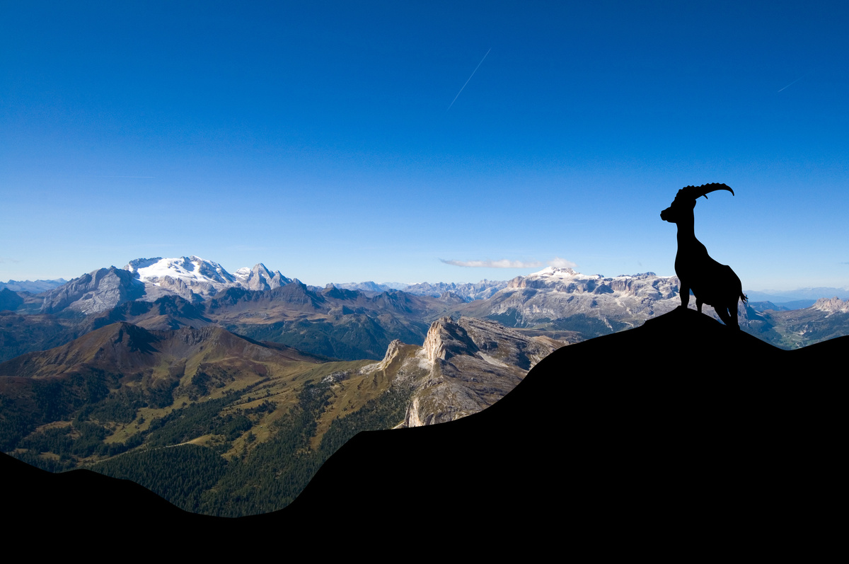 Cabra, símbolo do signo de Capricórnio, numa montanha.