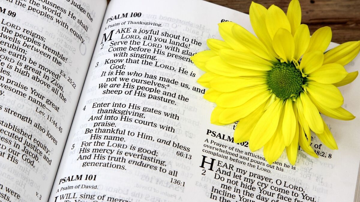 Bíblia com uma flor.