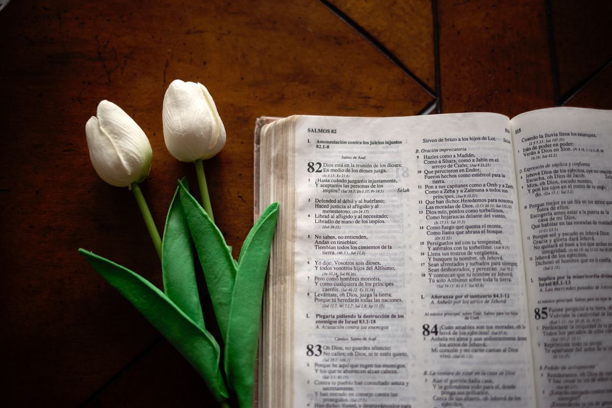 Bíblia com flores.