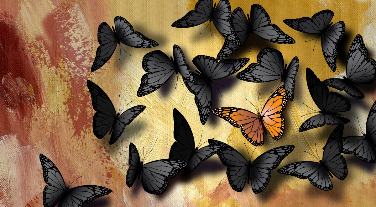 Várias borboletas pretas ao redor de uma borboleta laranja. 