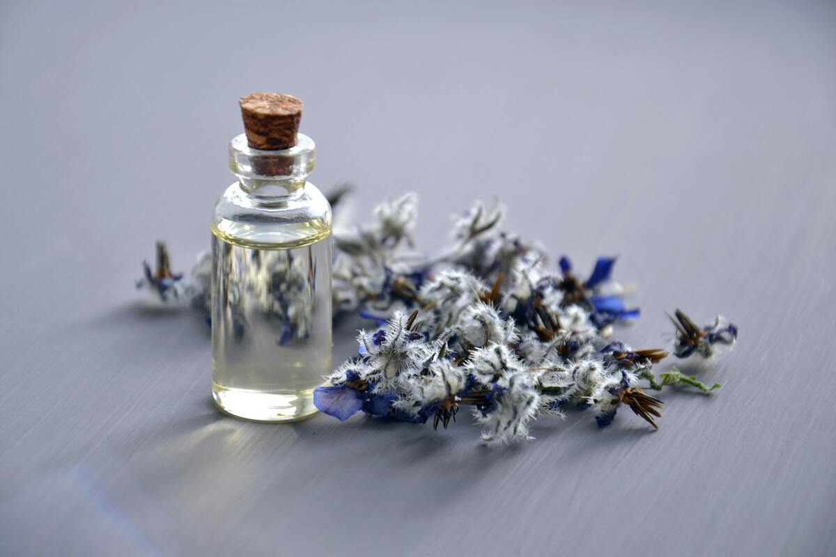 Pequeno frasco de perfume transparente, com ramo de flores ao lado.