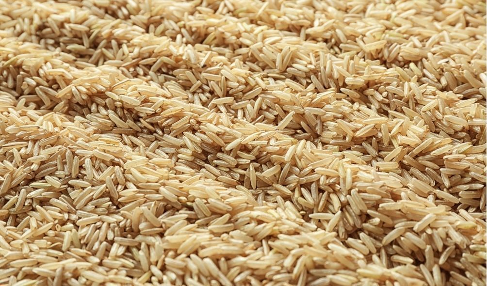 Imagens de grãos de arroz integral