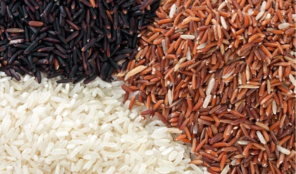 Diferentes tipo de grão de arroz