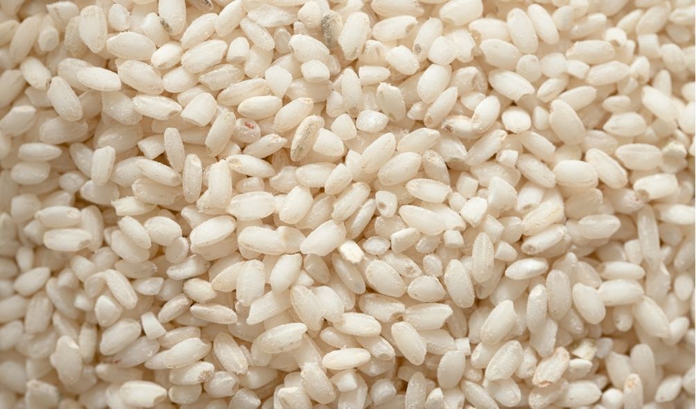 Grãos de arroz cru