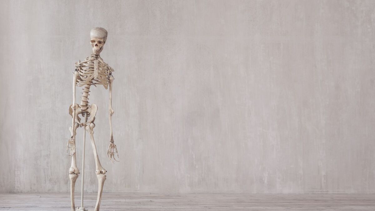 Esqueleto em pé.