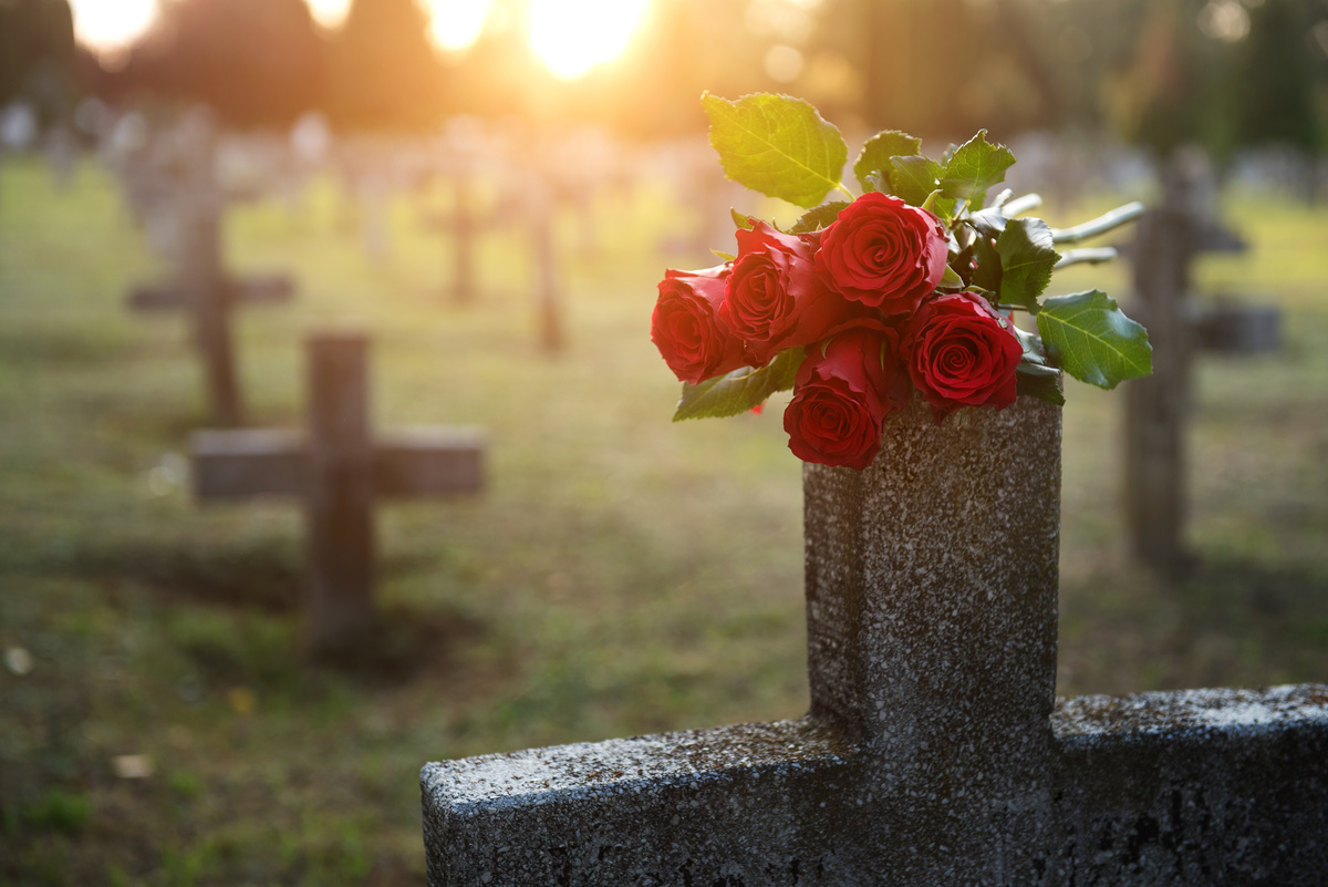 Rosas em cima de túmulo de pessoa que já morreu.