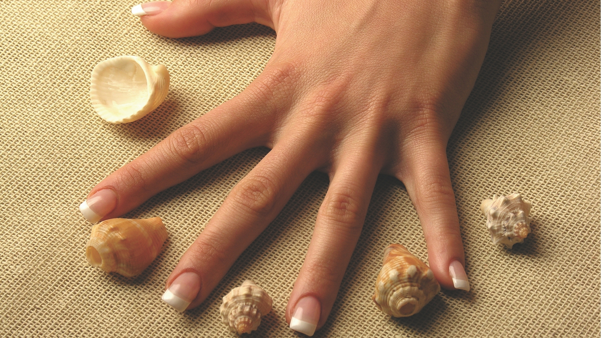 Conchas no meio dos dedos de uma mão feminina.