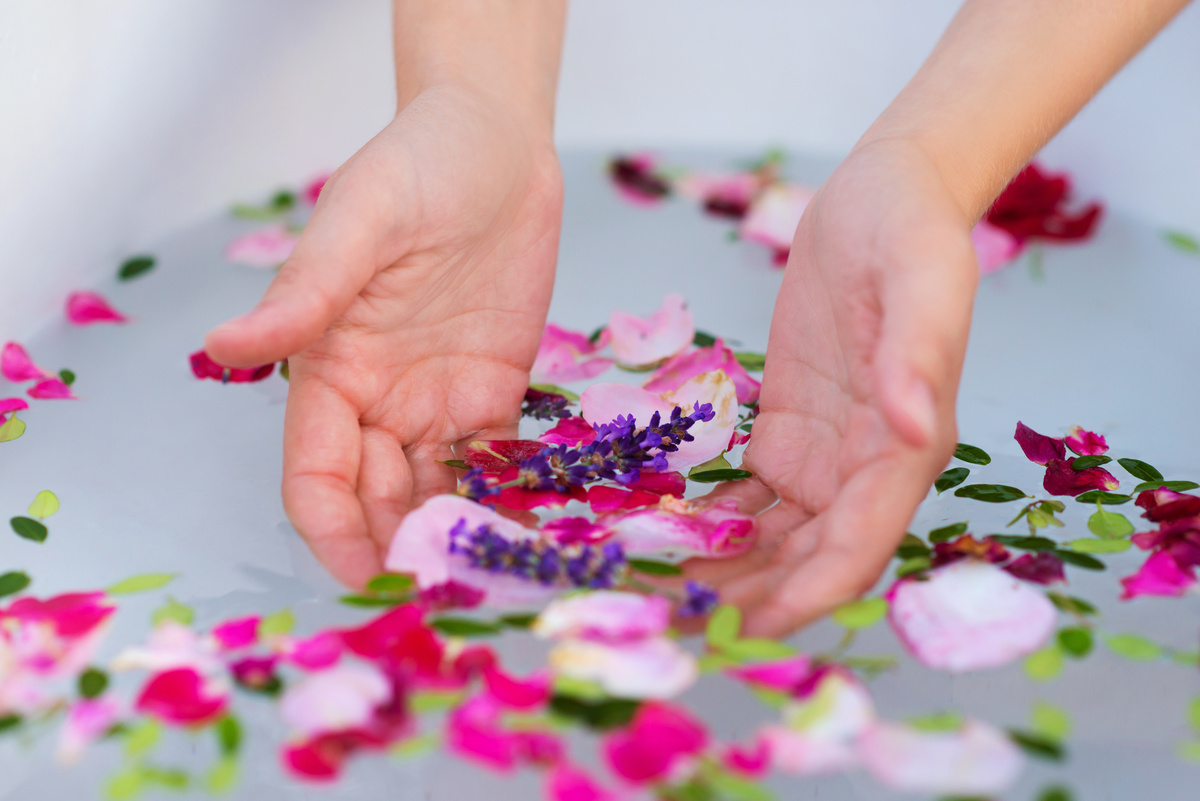 Mãos femininas pegando pétalas de flores na água