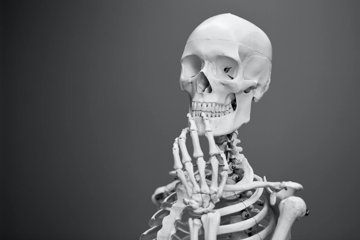 Esqueleto humano.