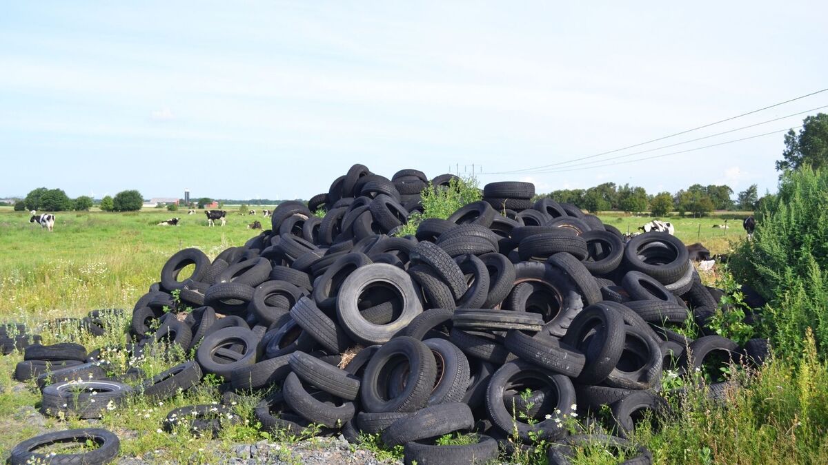 Muitos pneus velhos amontoados.