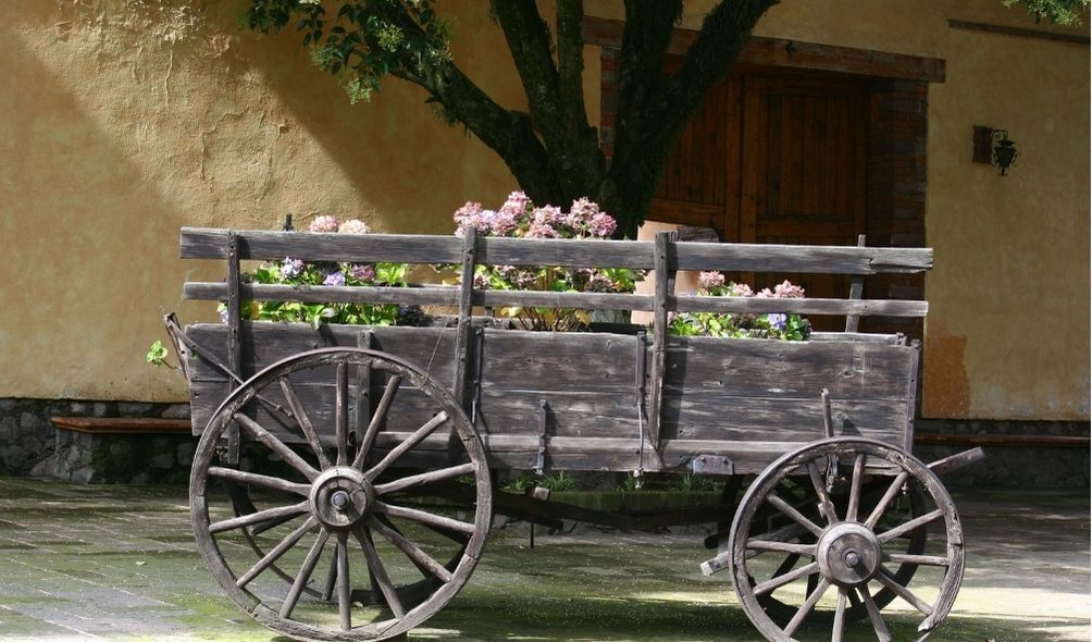 Imagem de carroça com flores
