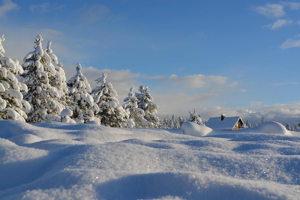 Campo aberto coberto de neve.