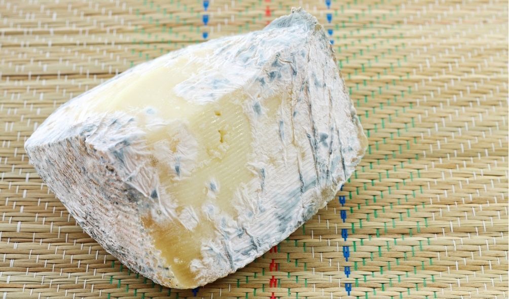 Imagem de queijo mofado